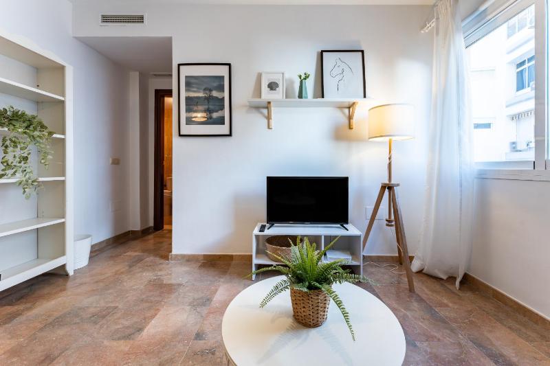 MalagaSuite La Nogalera Apartments - image 4