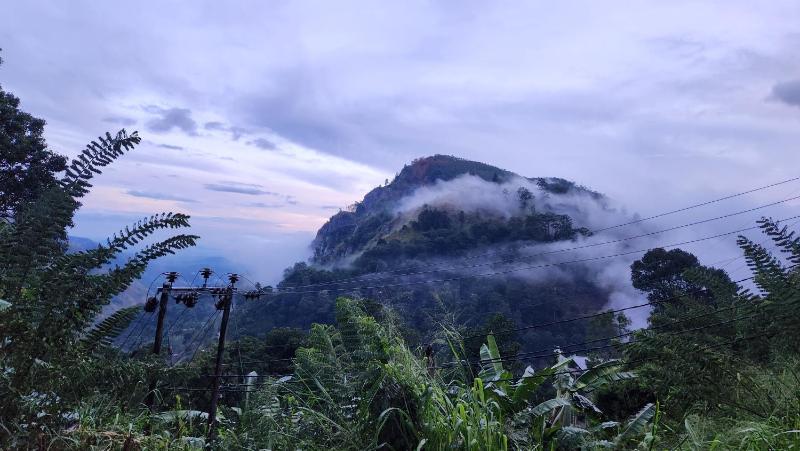 Elysium Homestay Ella - image 6