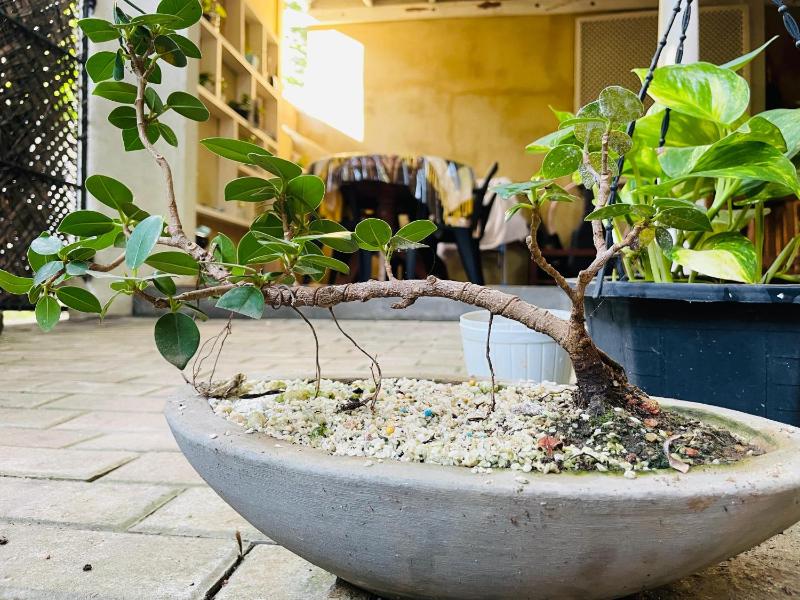 Muthu Villa - image 14