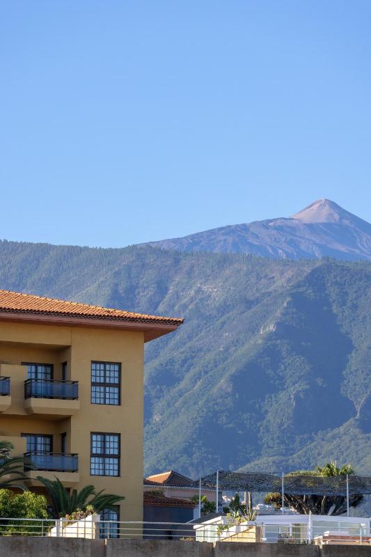 AluaSoul Orotava Valley - image 14