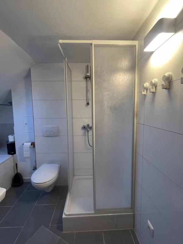 Beishan Appartements Nürnberg in Zentrum Dachgeschoss - image 4