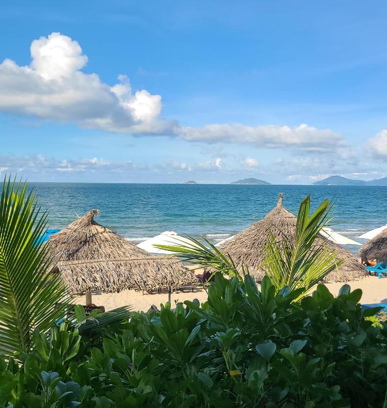 HOI AN BLUE CORAL HOME - 03 BRs POOL - AN BANG BEACH - image 3