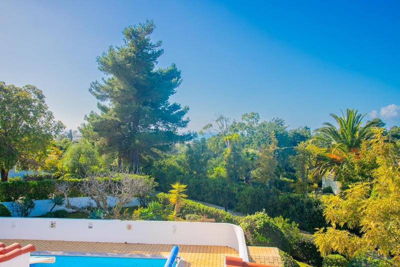61 vdm - Superb villa on Vale do Milho with heated - image 9