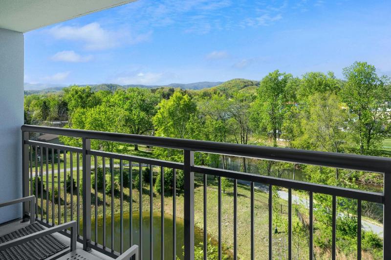 TownePlace Suites by Marriott Pigeon Forge - image 41