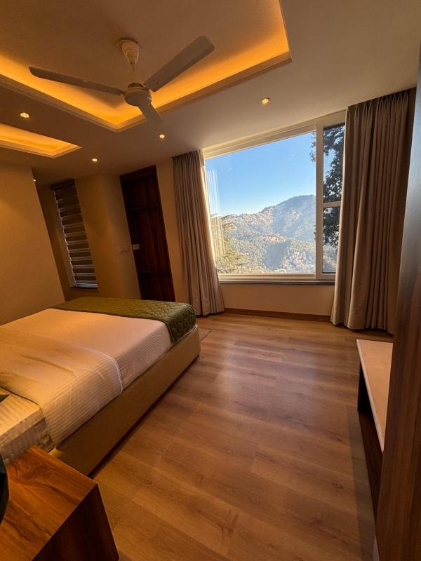 Conifer heights - image 4