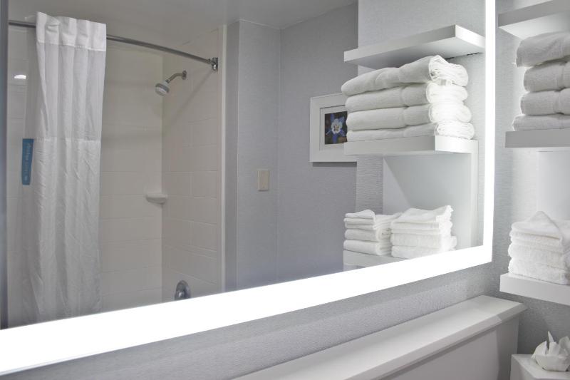 Hampton Inn & Suites Denver-Speer Boulevard - image 25
