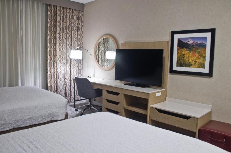 Hampton Inn & Suites Denver-Speer Boulevard - image 5