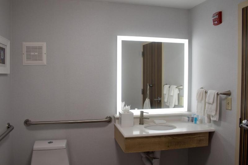 Hampton Inn & Suites Denver-Speer Boulevard - image 11