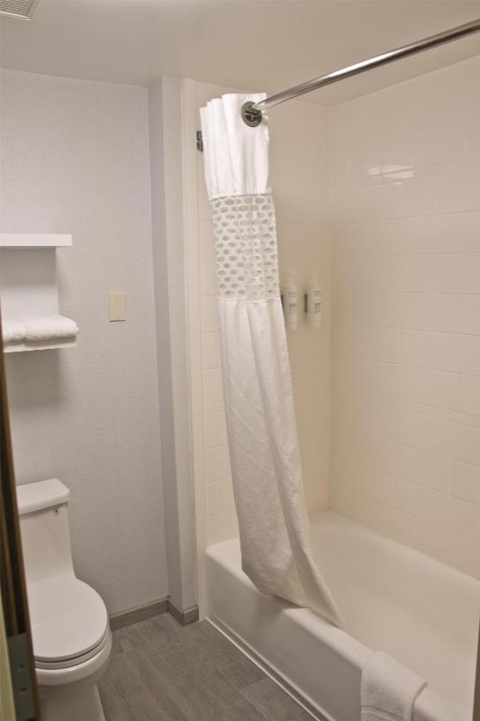 Hampton Inn & Suites Denver-Speer Boulevard - image 16