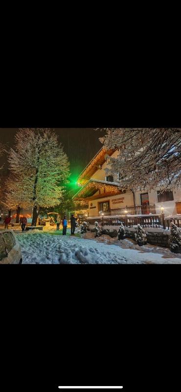 Edelweiss Central Hotel - image 42
