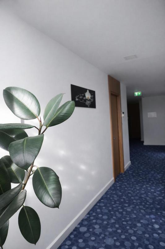 Hotel Bayer's - image 13