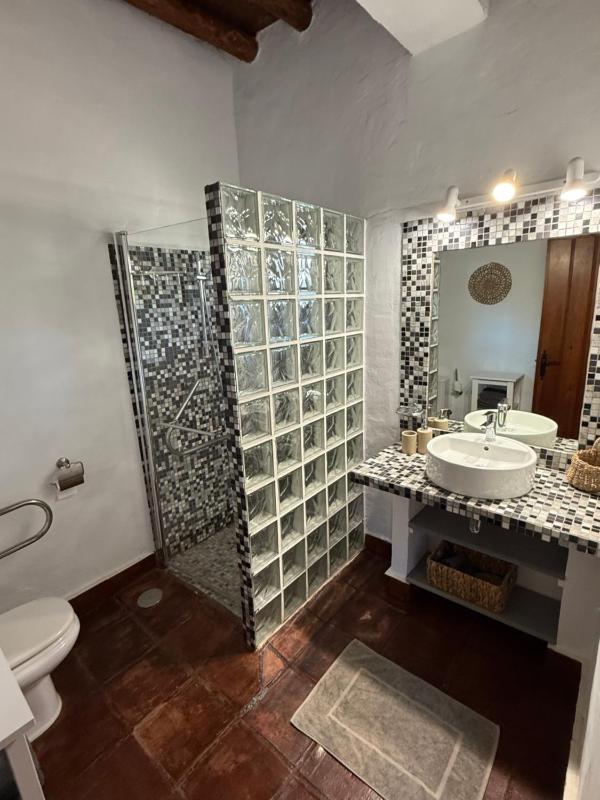 La Guzmana de Ronda - image 6