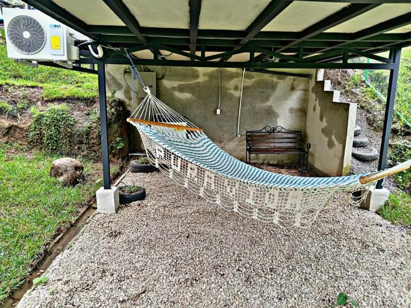 The Chicken House - image 7