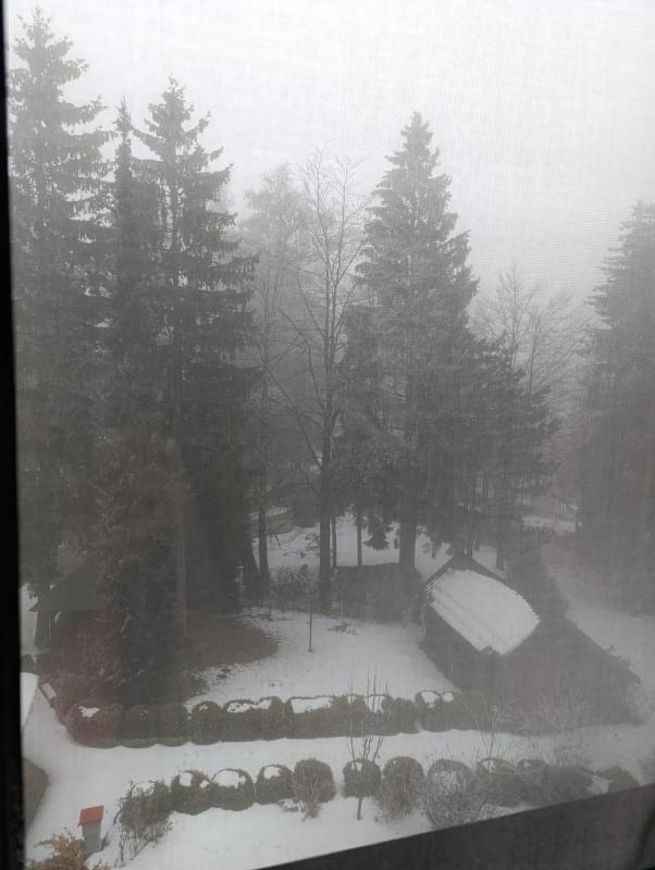 Mountview Zlatibor - image 3