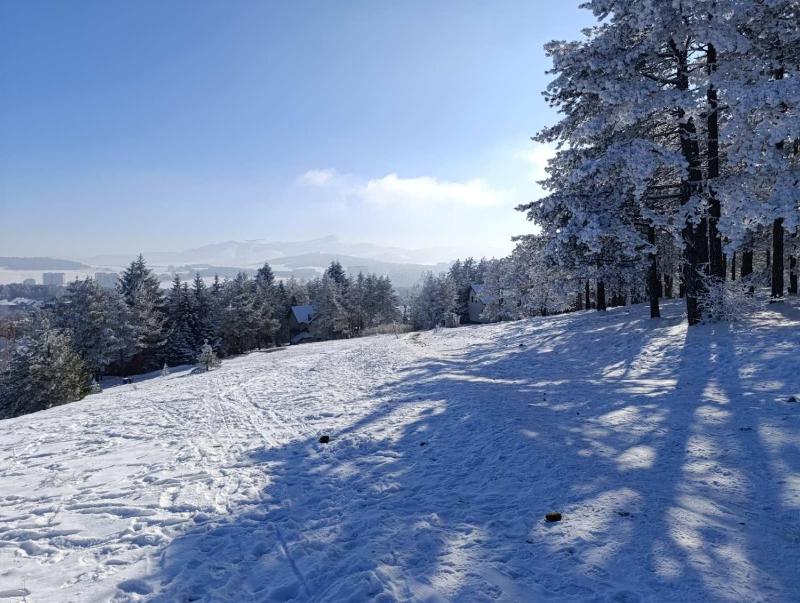 Mountview Zlatibor - image 2