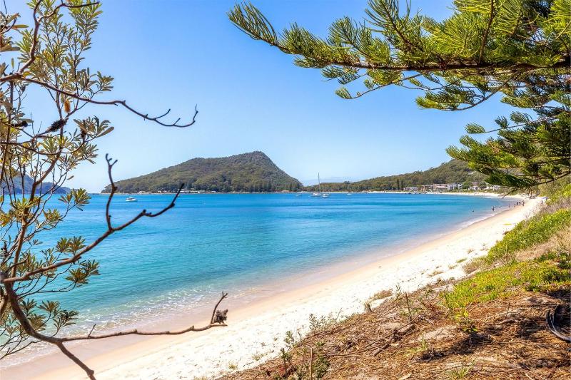 Oscar's Beach House 14 Tomaree Rd - pet friendly air con Wi-Fi Linen - image 8