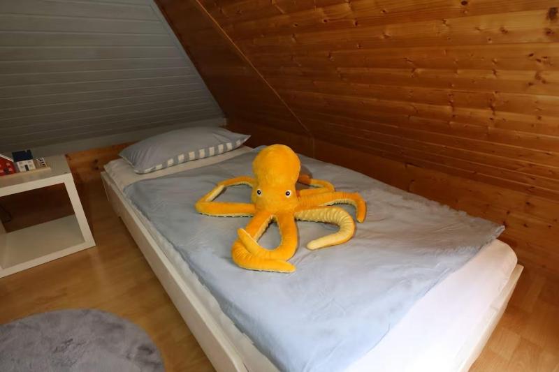 Küstenkammer - image 22