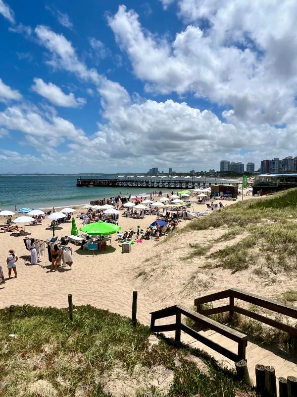 Edificio Carbe Punta del Este - Frente al Mar -parada 2 de la Mansa - image 20