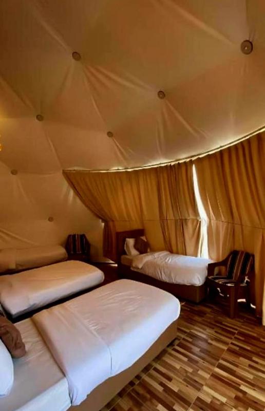 Wadi rum camp - image 8