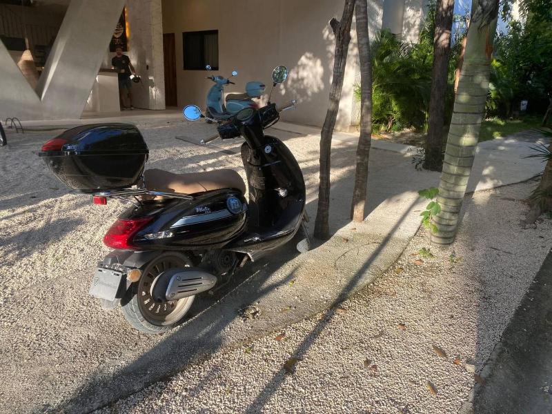 Beautiful 2 bedrooms in Parques Zama Torre 2 - image 18