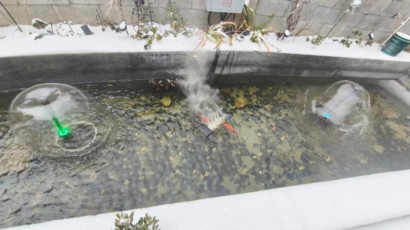 Zhangjiajie Misty Hills - image 10