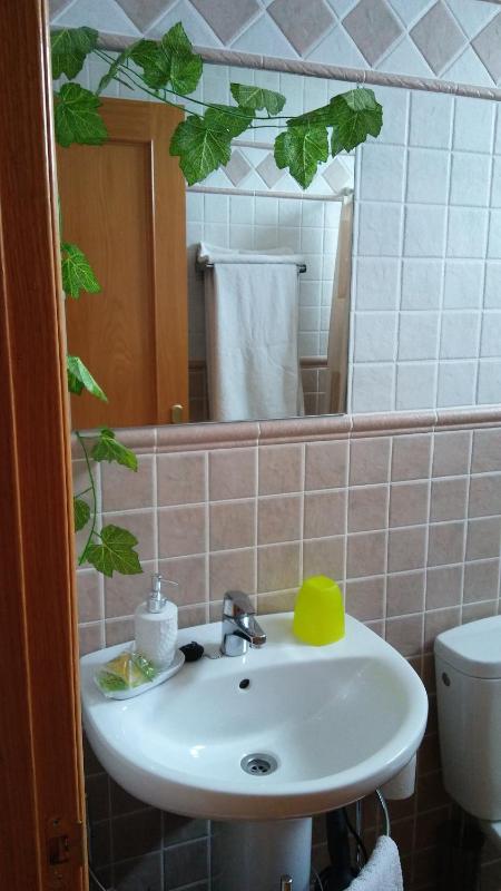 Double or Twin Room image 4