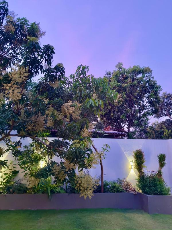 THC - Tropical Hideaway Ceylon - image 13