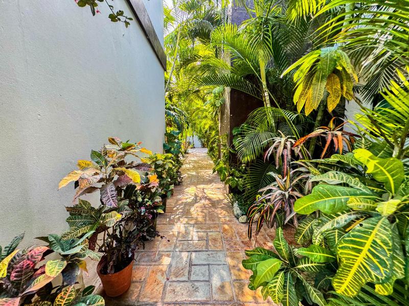 Casa Guadalupe - image 7