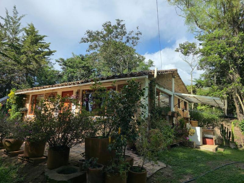 La casa de los abuelos - image 12