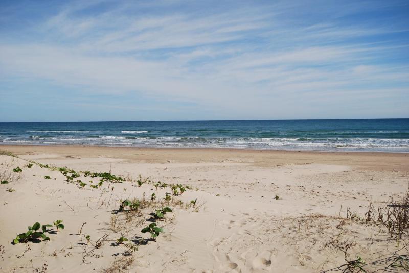 8242 Breakers Blvd home - image 20
