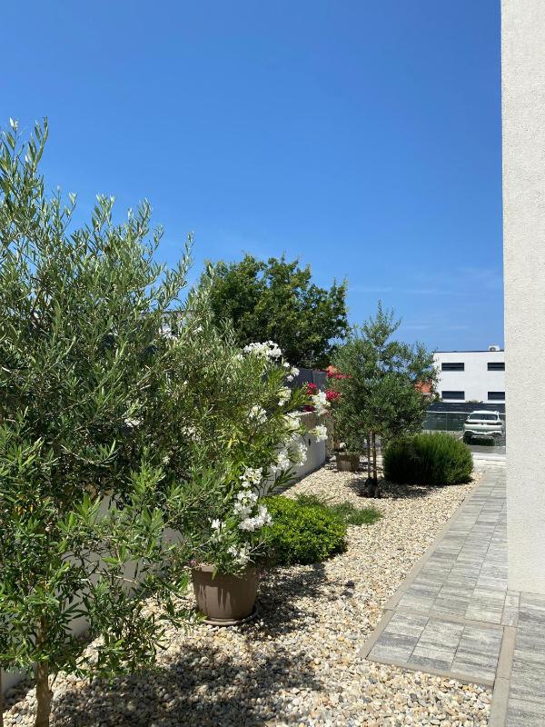 Villa Larus on Island Krk for 6 people with sea view & only 500 m from the sea - image 28