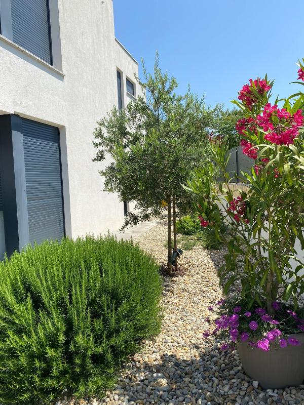 Villa Larus on Island Krk for 6 people with sea view & only 500 m from the sea - image 10