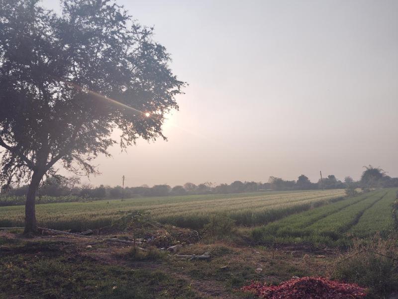 VERULAI RETREAT HOMESTAY  I  NEAR ELLORA CAVES AND GRISHNESHWAR TEMPLE I CLEAN AND PEACEFUL STAY - image 8