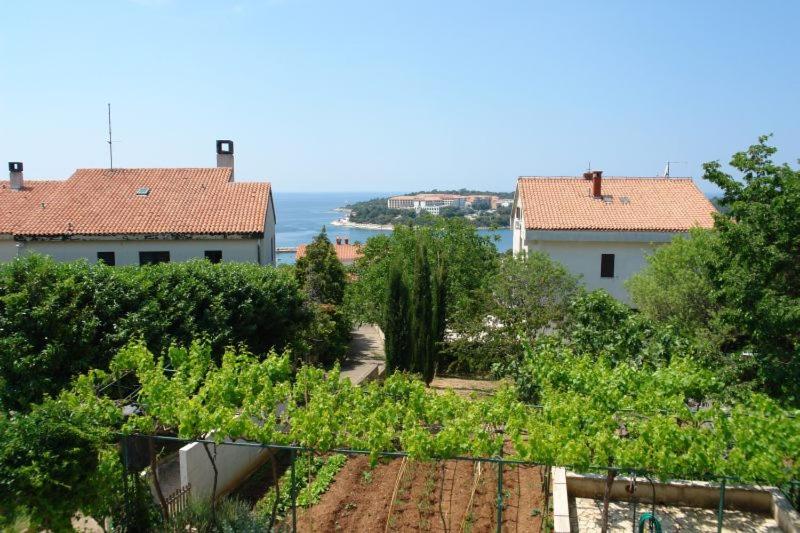 Apartments Benito - image 30
