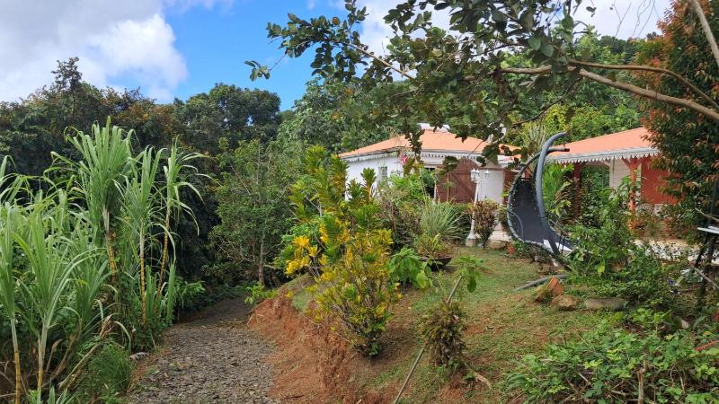 Studio charmant avec piscine privée à Rivière-Pilote 25 m² - image 7