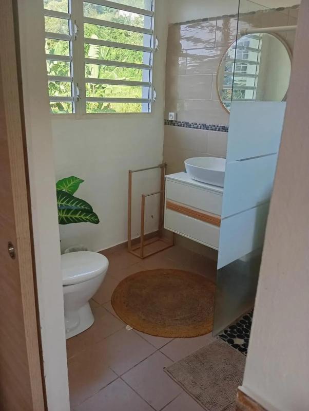 Studio charmant avec piscine privée à Rivière-Pilote 25 m² - image 11
