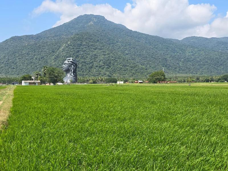 Siruvani Forest Farmstay By Shivalaya Stays - image 9