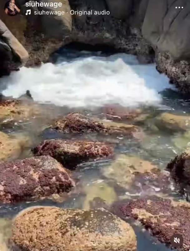 Dragon beach - image 6