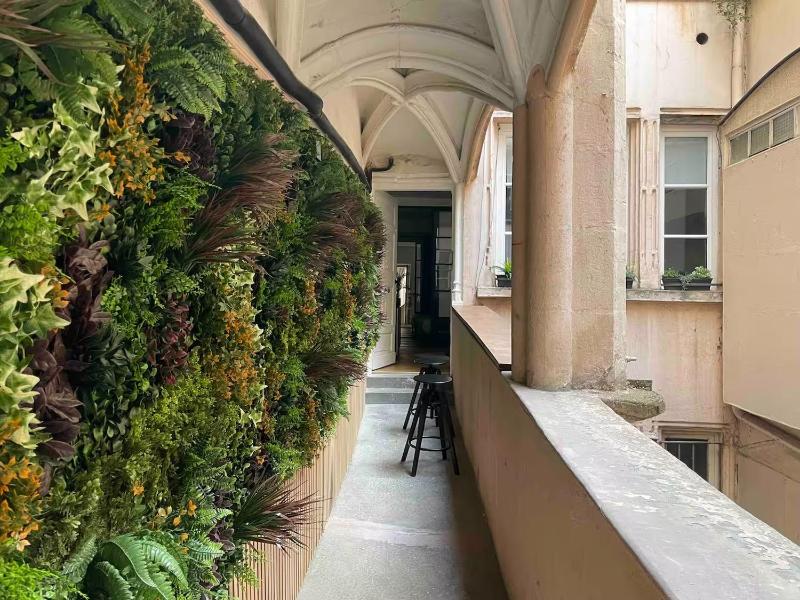 Rue Mercière Terrasse Hypercentre Lyon - image 1