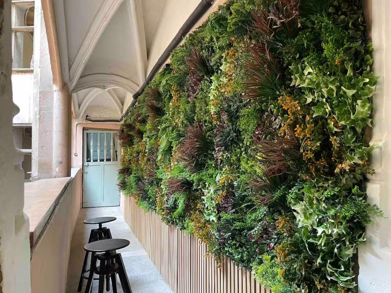 Rue Mercière Terrasse Hypercentre Lyon - image 12