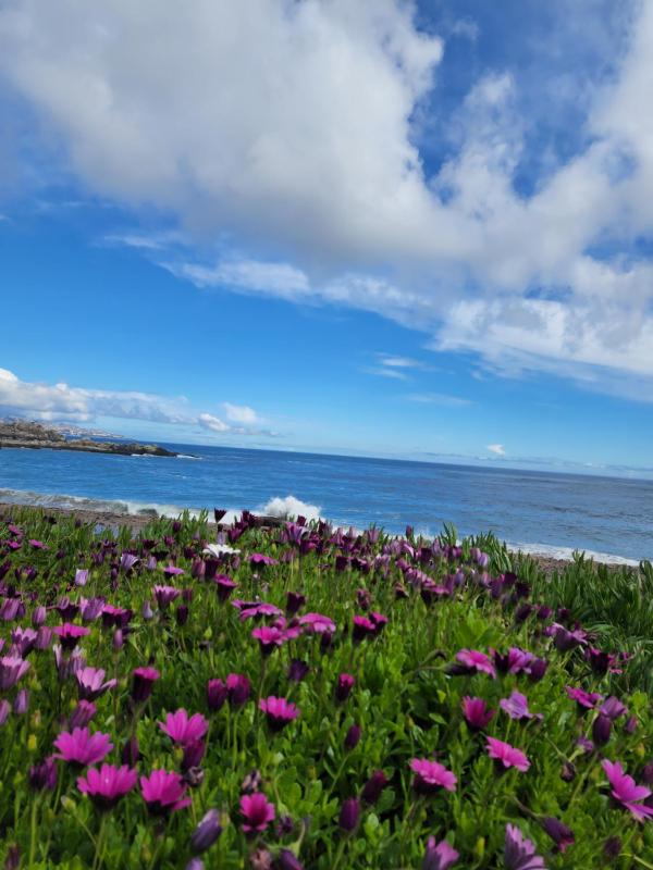 Departamento Reñaca - image 8