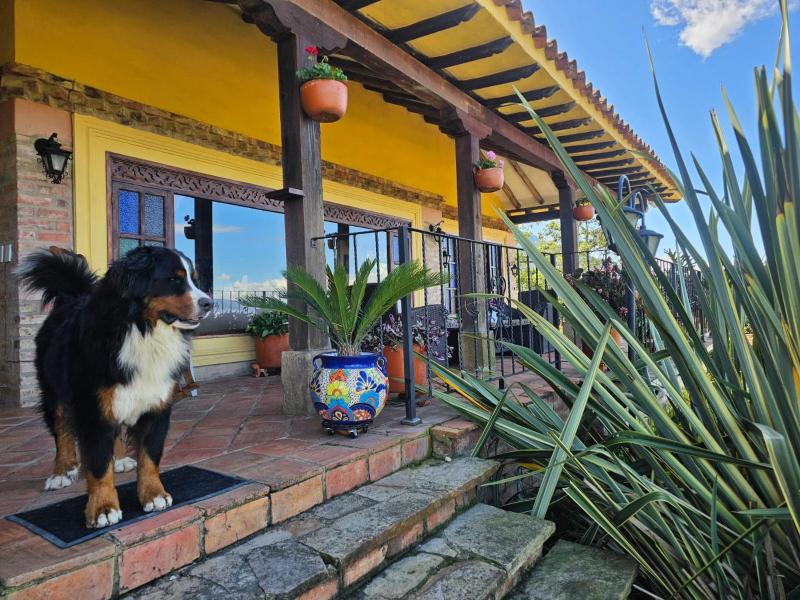 La Primavera casas campestres para familias paisajes tranquilidad cerca al pueblo - image 18