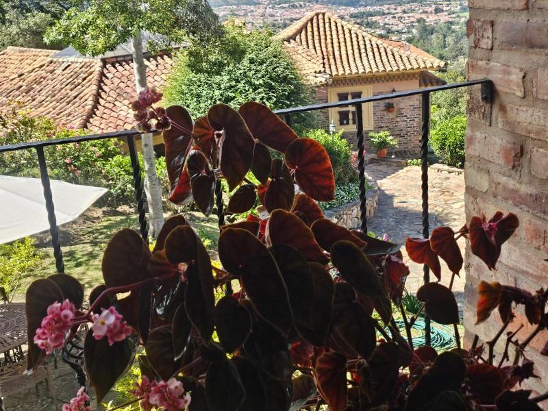 La Primavera casas campestres para familias paisajes tranquilidad cerca al pueblo - image 11