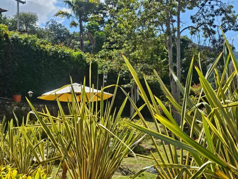 La Primavera casas campestres para familias paisajes tranquilidad cerca al pueblo - image 6