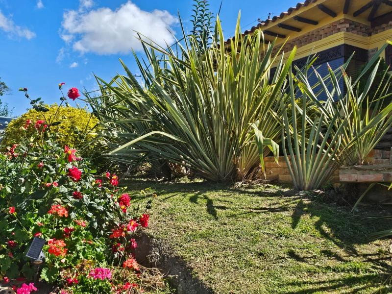 La Primavera casas campestres para familias paisajes tranquilidad cerca al pueblo - image 34