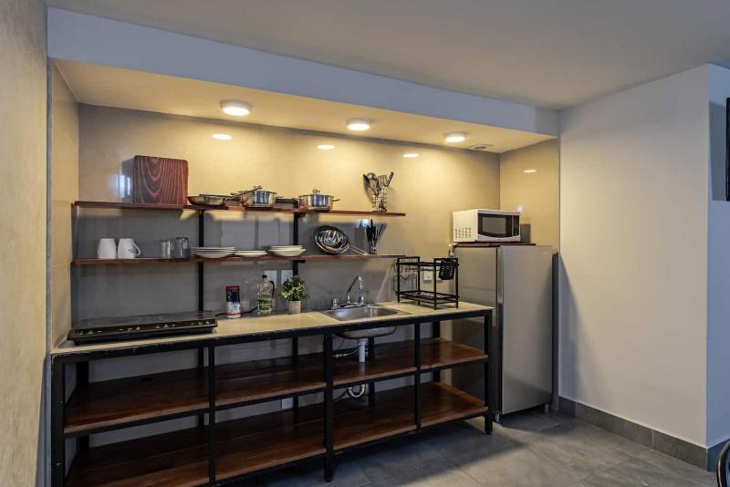 Sunny condo with rooftop in Roma Norte - image 6
