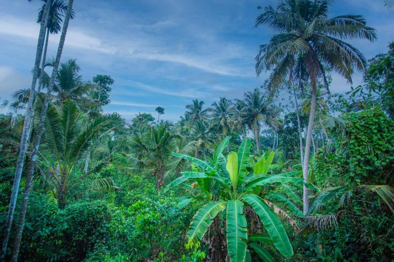 Lio Garden - image 2