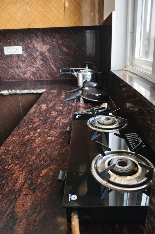 Spacious 2BHK Apartment - Near India Expo Mart - image 30