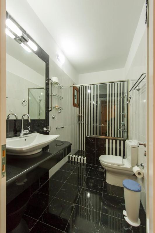 One-Bedroom Apartment image 3