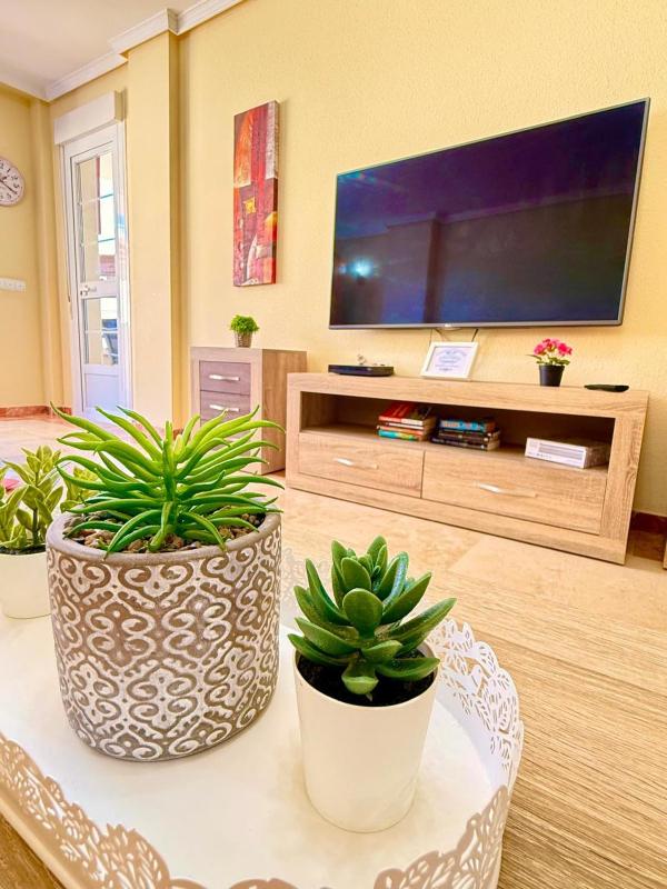 Large Apartment with Sea Views & Terrace - image 35